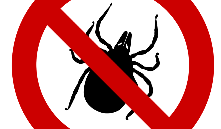 tick-1465066_1280
