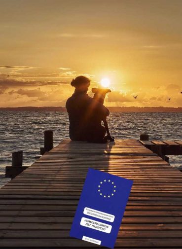Urlaub-EU-Passport1
