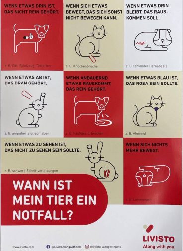 Wann ist mein Tier ein Notfall