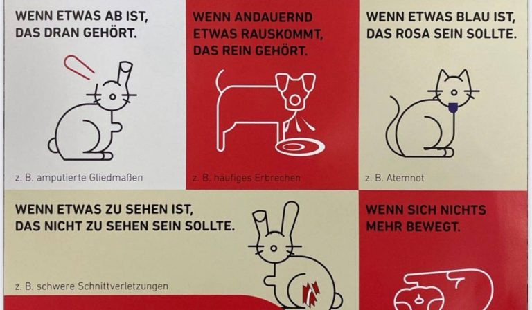 Wann ist mein Tier ein Notfall