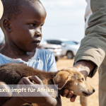 Impfen für Afrika!  19.05. – 25.05.2025